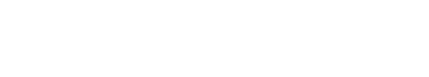 newsnet logo horizontal